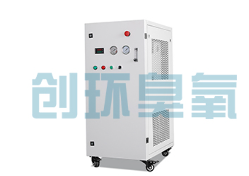 福建石斑鱼养殖水质调控完整指南：臭氧发生器配置与操作步骤