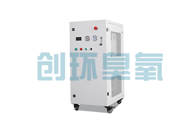 福建比传统换水更高效？臭氧发生器在石斑鱼养殖中的水质净化原理解析